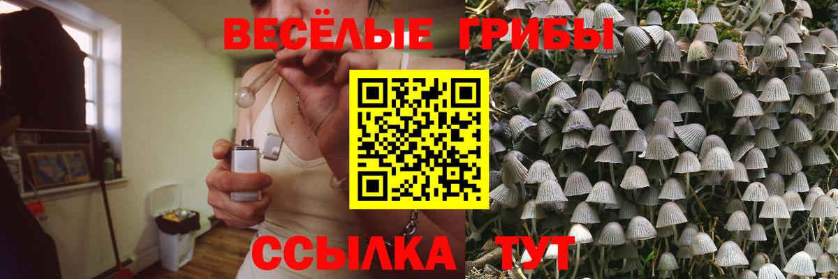 Псилоцибиновые грибы GOLDEN TEACHER  Галлюциногенные грибы ЛСД  где купить наркоту  Вход с VPN  Котельники 